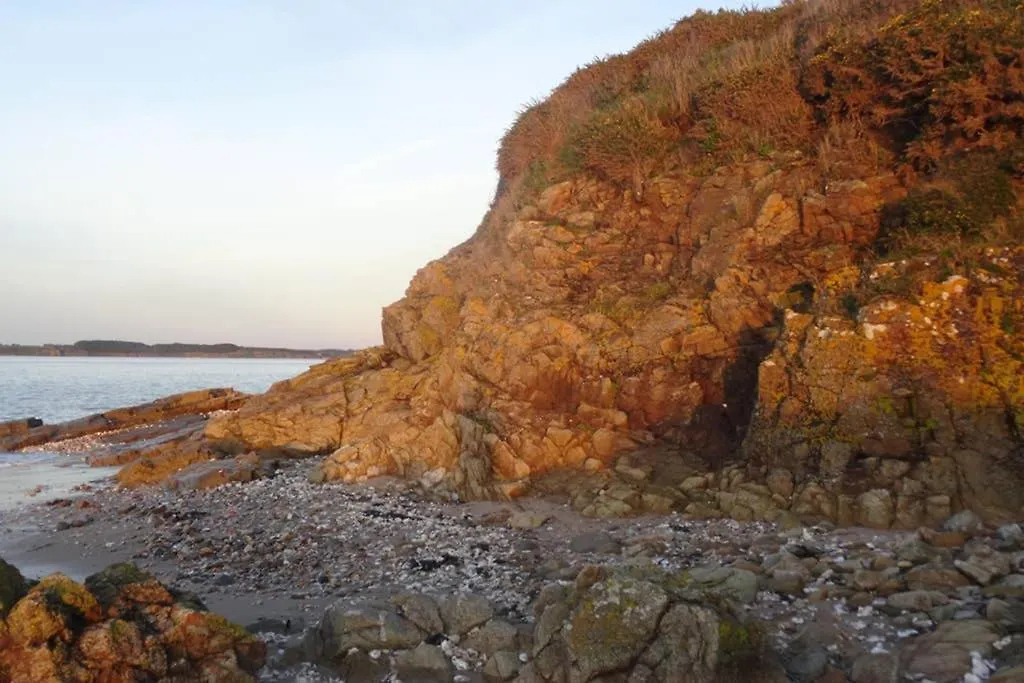 Ty Gwenn, Dans Un Parc Boise, La Plage A Vos Pieds Penestin Holiday home